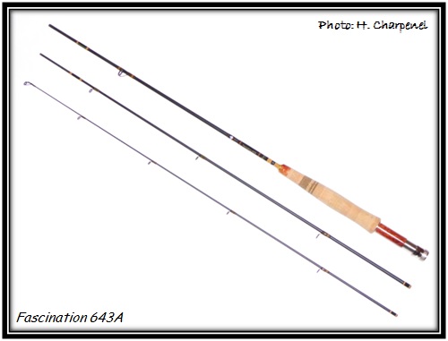 Fascination 643A