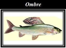 Ombres