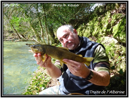 Truite de l'Albarine