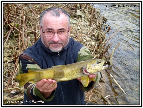 Truite de l'Albarine