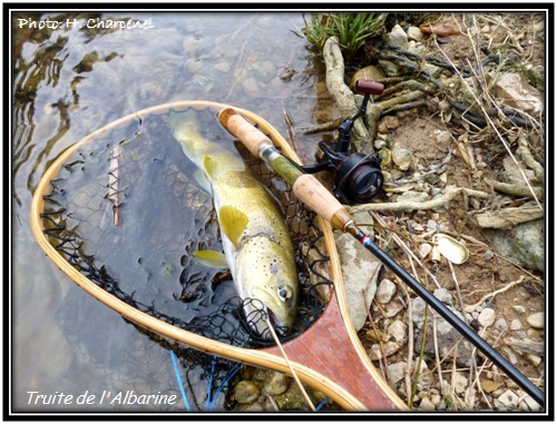 Truite de l'Albarine