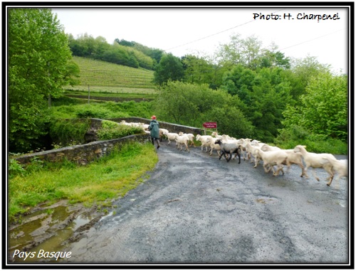 Le Pays Basque