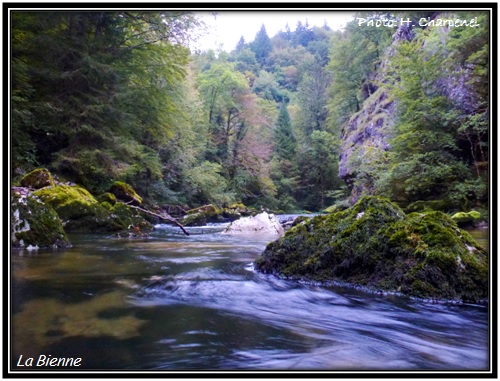 Le gorge de la Bienne