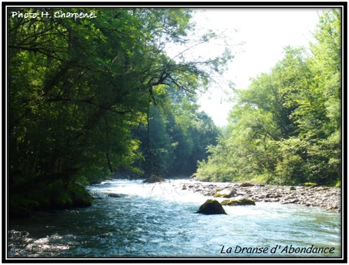 La Dranse d'Abondance