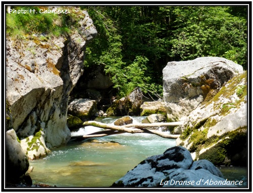 La Dranse d'Abondance