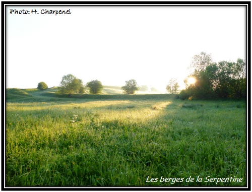 Les berges de la Serpentine