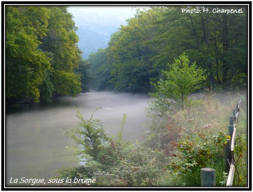 La Sorgue, sous la brume