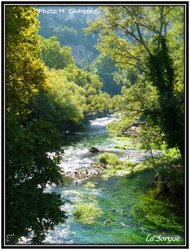 La Sorgue à Fontaine