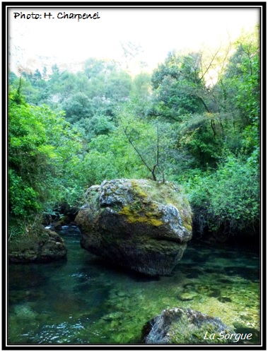 La Sorgue