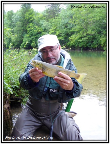 Truite de la Rivière d'Ain