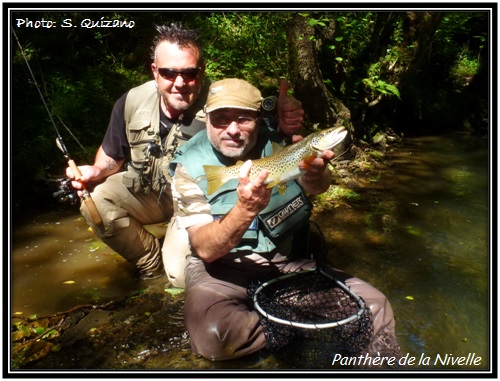 Truite fario panthre du Pays Basque