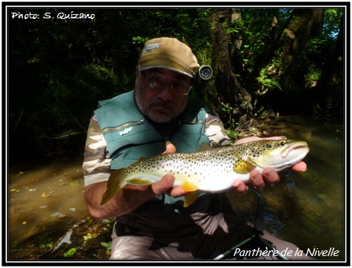 Truite fario panthre du Pays Basque