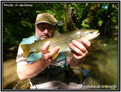 Truite fario panthre du Pays Basque
