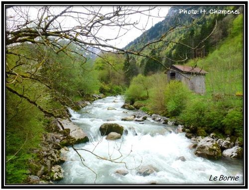 Le Borne