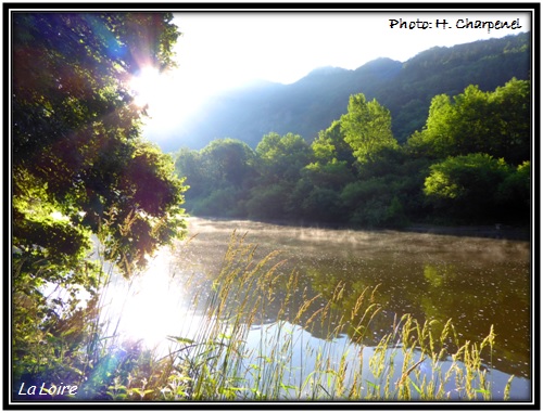 La Loire dans la Haute-Loire