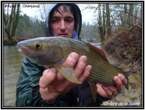 Ombre de la Saine