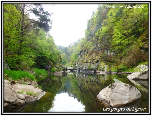 Les gorges du Lignon