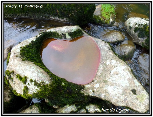 Un rocher, avec un coeur, dans le Lignon
