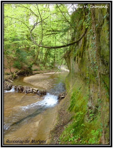 Ruisseau de Morges