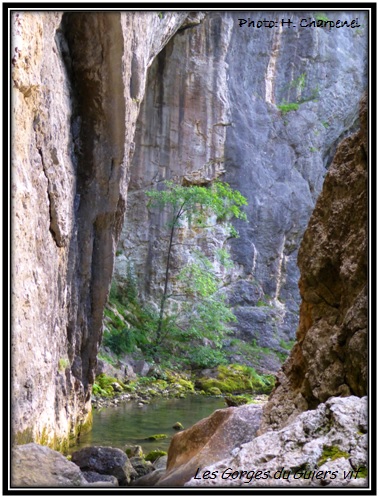 Les Gorges du Guiers Vif