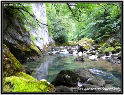 Les gorges du Guiers Vif