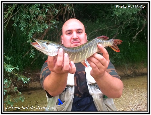 Le brochet de Jean-Luc de la Rivière d'Ain