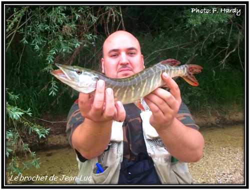 Le brochet de Jean-Luc de la Rivire d'Ain