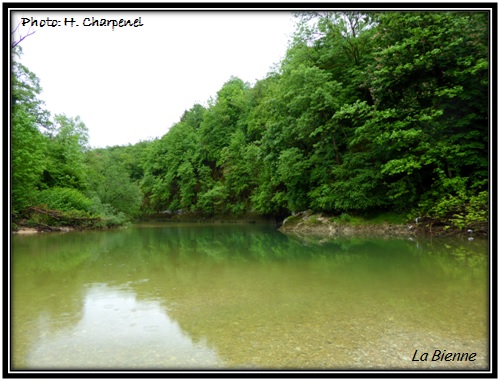 La Bienne