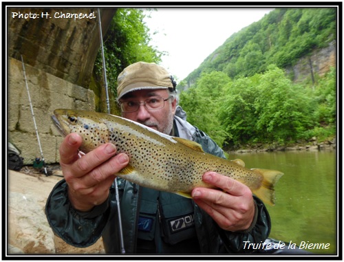 Truite de la Bienne