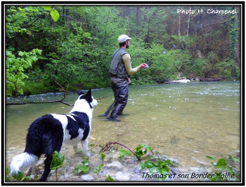 Thomas et son Boder Collie