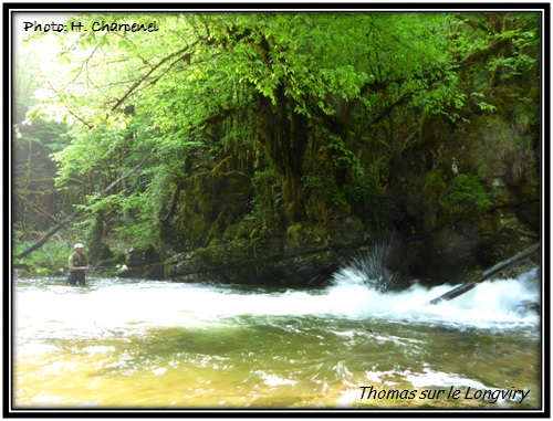 Thomas sur le Longviry