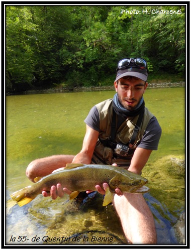 fario de la Bienne de Quentin