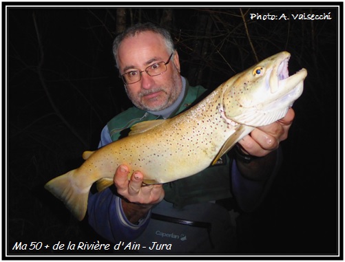 Truite de 50 + de la Rivière d'Ain