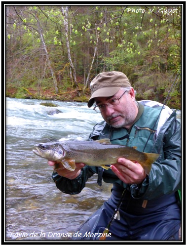 Fario de la Dranse de Morzine