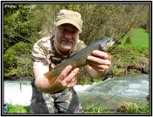 Fario de la Dranse de sous le Saix