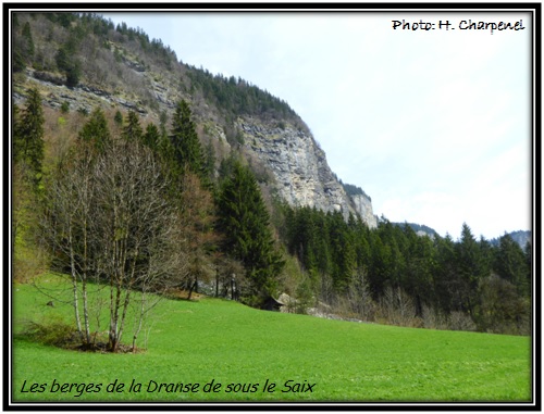 Les berges de la Dranse de sous le Saix - Morzine