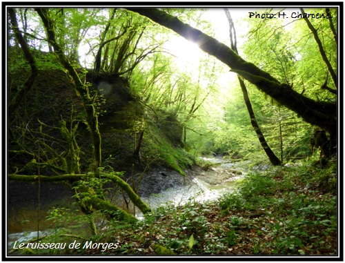 Ruisseau de Morges - Savoie