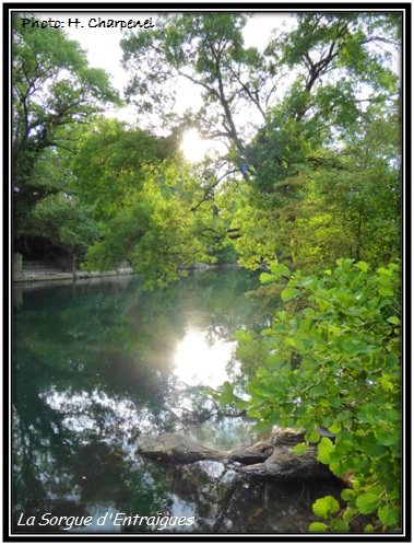 La Sorgue d'Entraigues