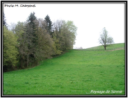 Paysage de Savoie