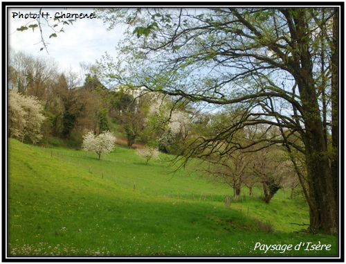 Paysage d'Isre