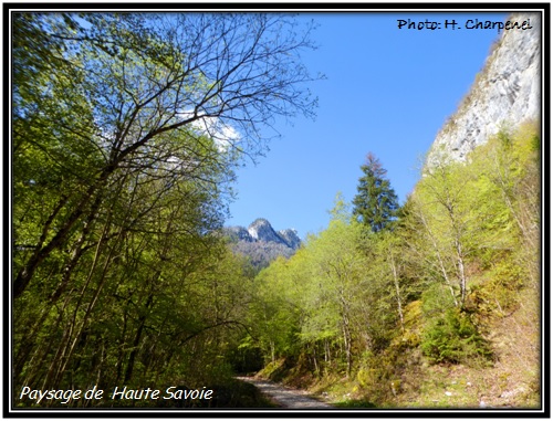 Paysage de Haute Savoie