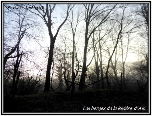 Les berges de la Rivière d'Ain