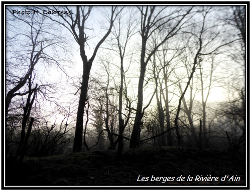 Les berges de la Rivire d'Ain