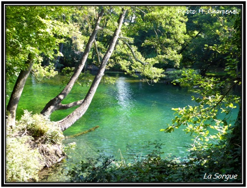 La Sorgue