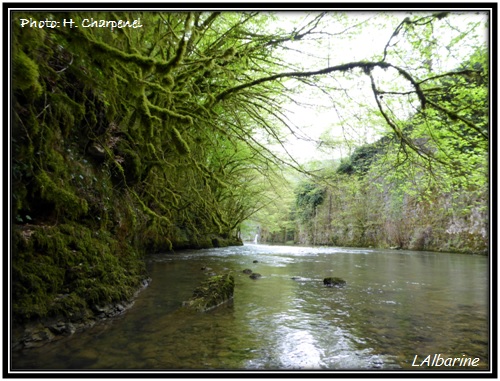 L'Albarine