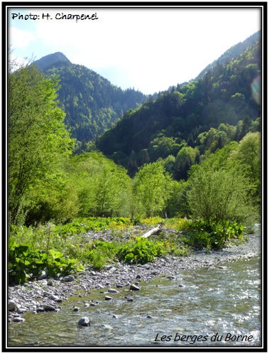 Les Berges du Borne