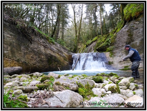 Hervé dans le ruisseau de Morges