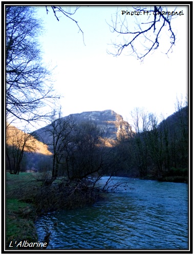 Albarine