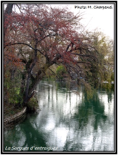 Sorgues d'entraigues