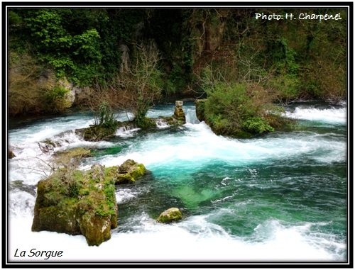 La Sorgue  Fontaine